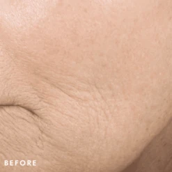 SkinCeuticals Triple Lipid Restore 2:4:2 -Elizabeth Arde Shop 11290635 1314782934726821