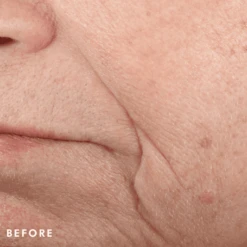 SkinCeuticals Triple Lipid Restore 2:4:2 -Elizabeth Arde Shop 11290635 1644782934669116