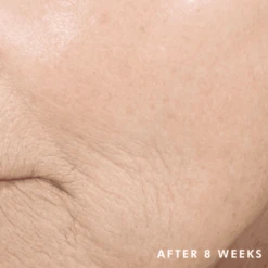 SkinCeuticals Triple Lipid Restore 2:4:2 -Elizabeth Arde Shop 11290635 2344782934615269