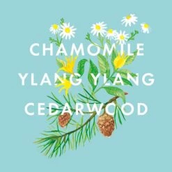 NEOM Bedtime Hero Magnesium Body Butter 9 NEOM Bedtime Hero Magnesium Body Butter -Elizabeth Arde Shop 12455614 1444824853305504