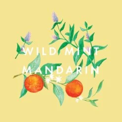 NEOM Great Day Magnesium Body Butter 200ml -Elizabeth Arde Shop 12595822 1464824855230745